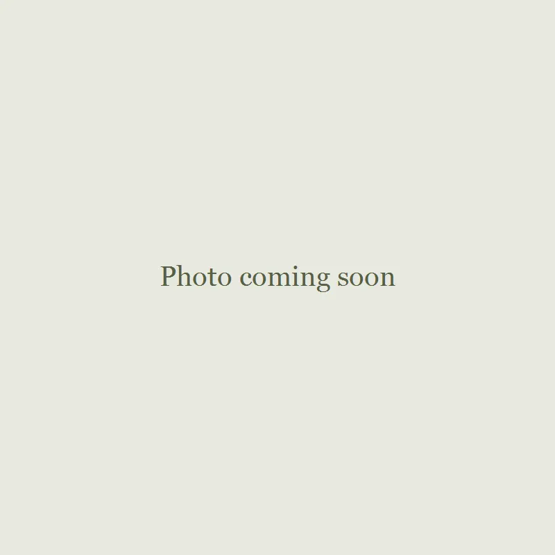 artisan-photo-coming-soon-1791481667806.webp